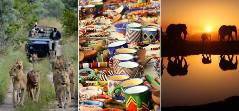 De beste reis door Zuid-Afrika; onze insider tips & tricks - Madiba