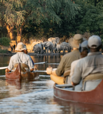 Zambia